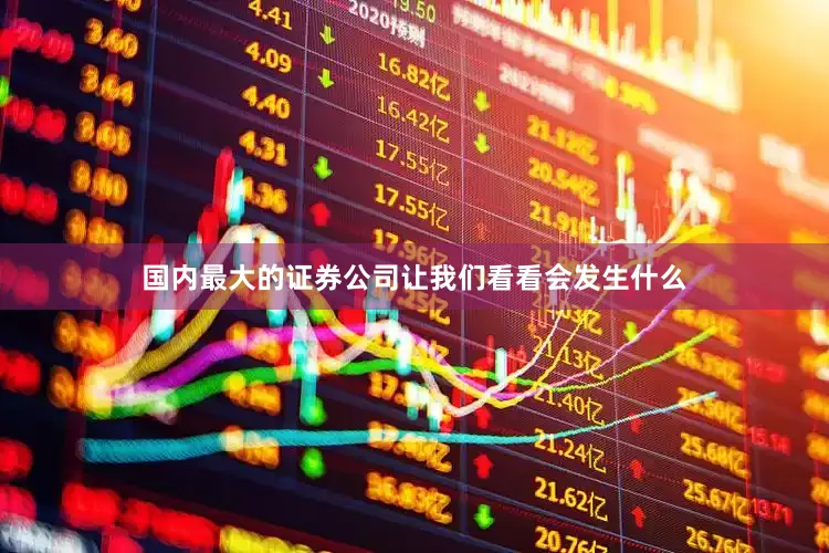 国内最大的证券公司让我们看看会发生什么