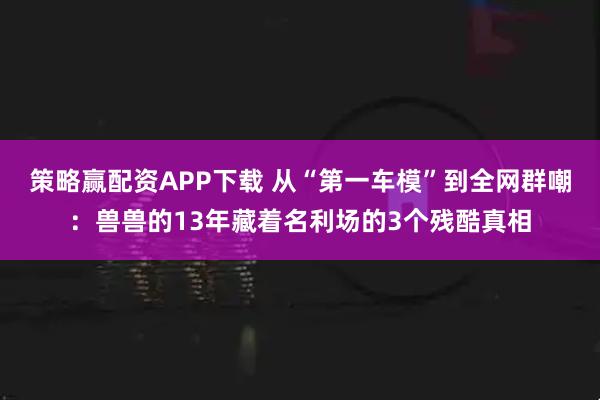 策略赢配资APP下载 从“第一车模”到全网群嘲:兽兽的13年藏着名利场的3个残酷真相